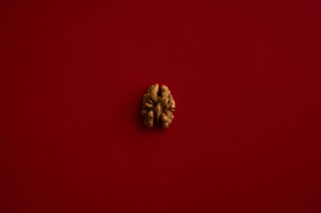 A alimentação como fronteira na terapia da saúde mental: perspectivas da psiquiatria nutricional 1 A alimentação como fronteira na terapia da saúde mental: perspectivas da psiquiatria nutricional