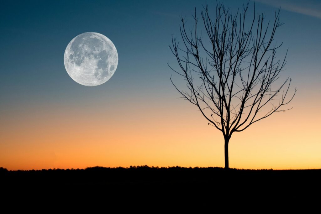A energia da lua cheia e como ela pode transformar sua vida 1 A energia da lua cheia e como ela pode transformar sua vida