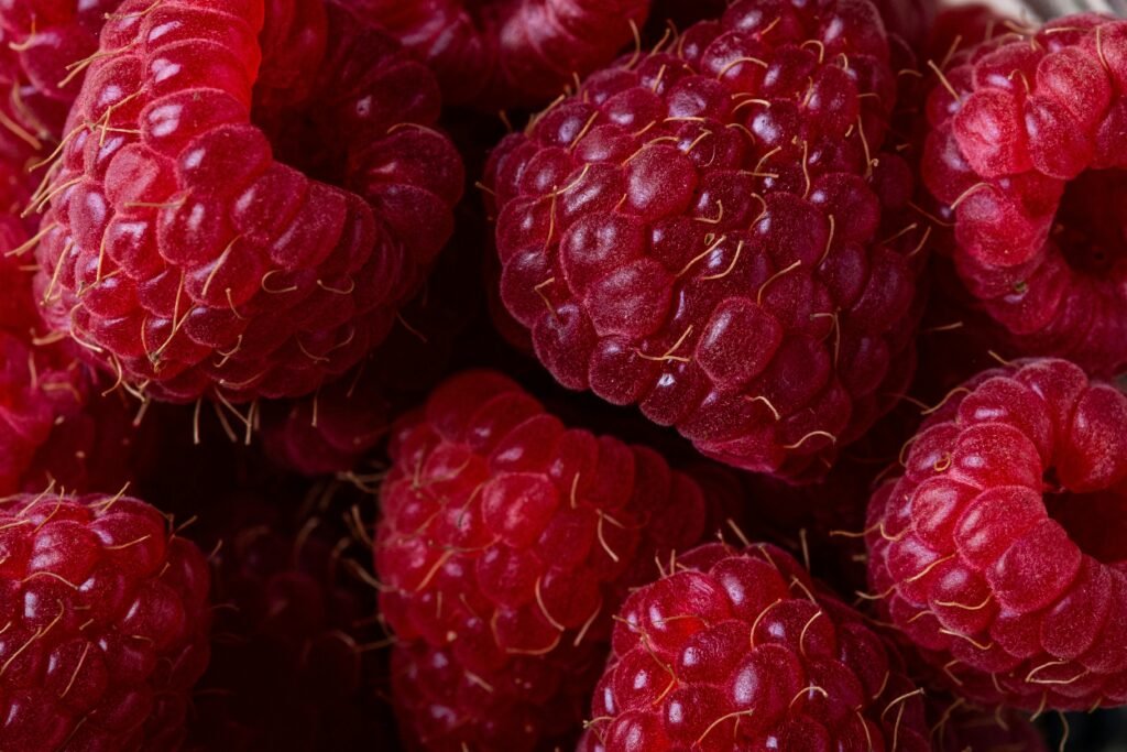 Comer Uma Maçã por Dia: Mitos, Evidências e Benefícios para a Saúde 1 Comer Uma Maçã por Dia: Mitos, Evidências e Benefícios para a Saúde