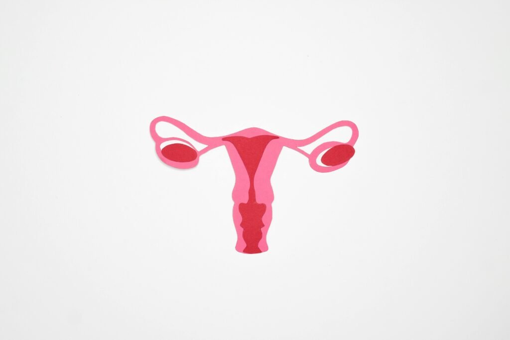 A surpreendente mobilidade do útero: implicações para a saúde pélvica e reprodutiva 1 A surpreendente mobilidade do útero: implicações para a saúde pélvica e reprodutiva